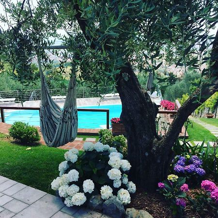 Villa L'Uliveta Μοντεκατίνι Τέρμε Εξωτερικό φωτογραφία